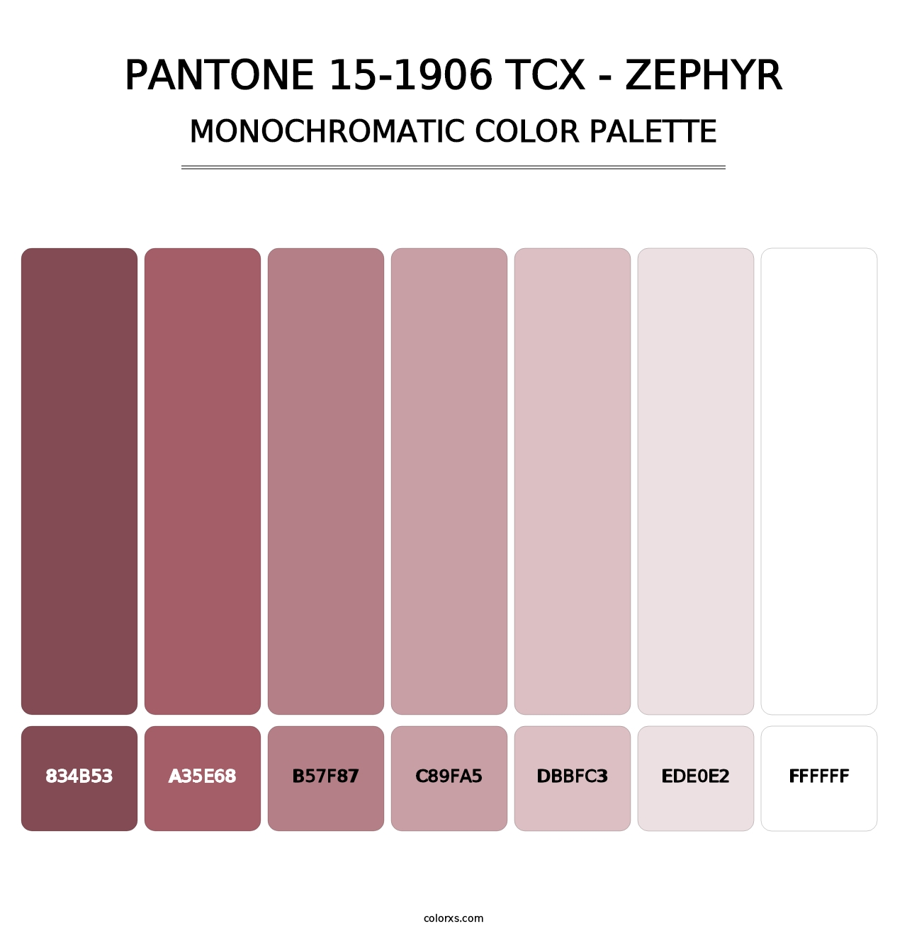 PANTONE 15-1906 TCX - Zephyr - Monochromatic Color Palette