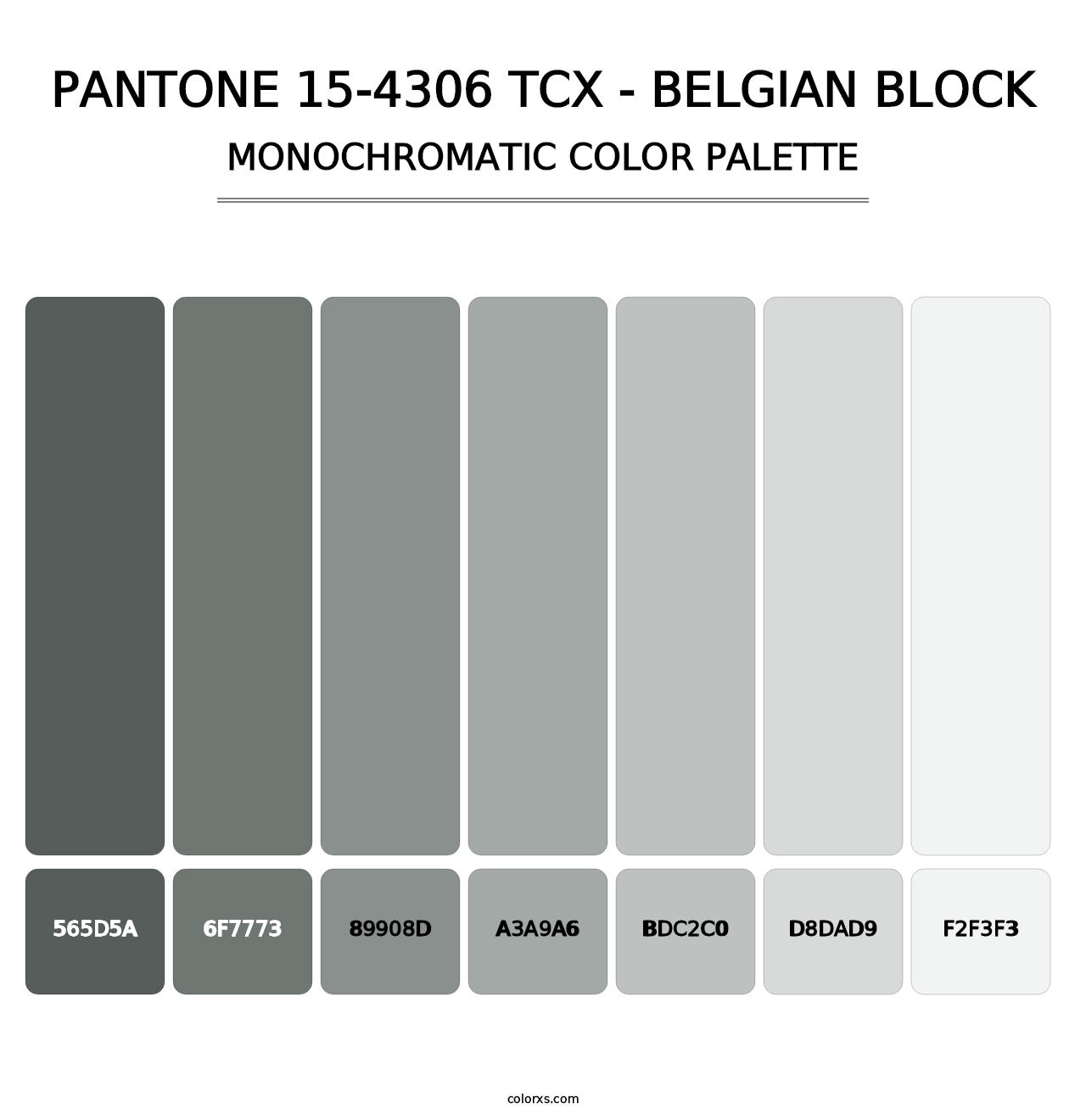 PANTONE 15-4306 TCX - Belgian Block - Monochromatic Color Palette
