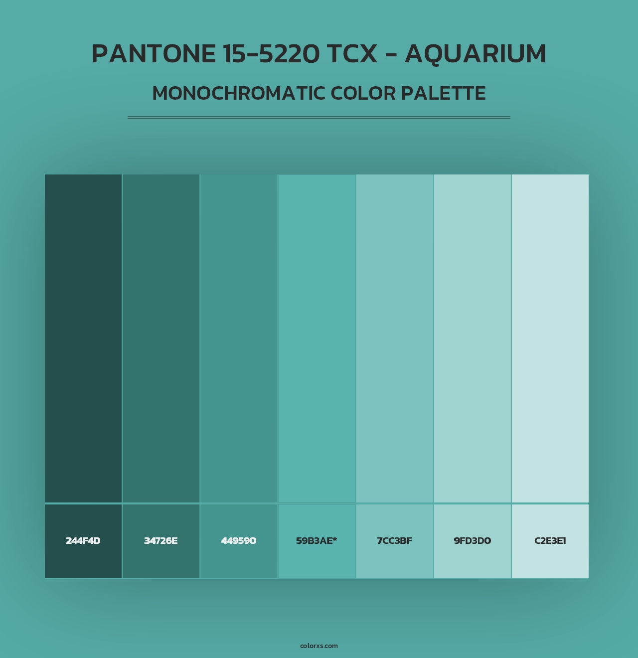PANTONE 15-5220 TCX - Aquarium - Monochromatic Color Palette