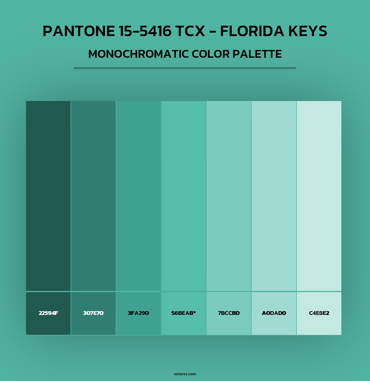 PANTONE 15-5416 TCX - Florida Keys - Monochromatic Color Palette