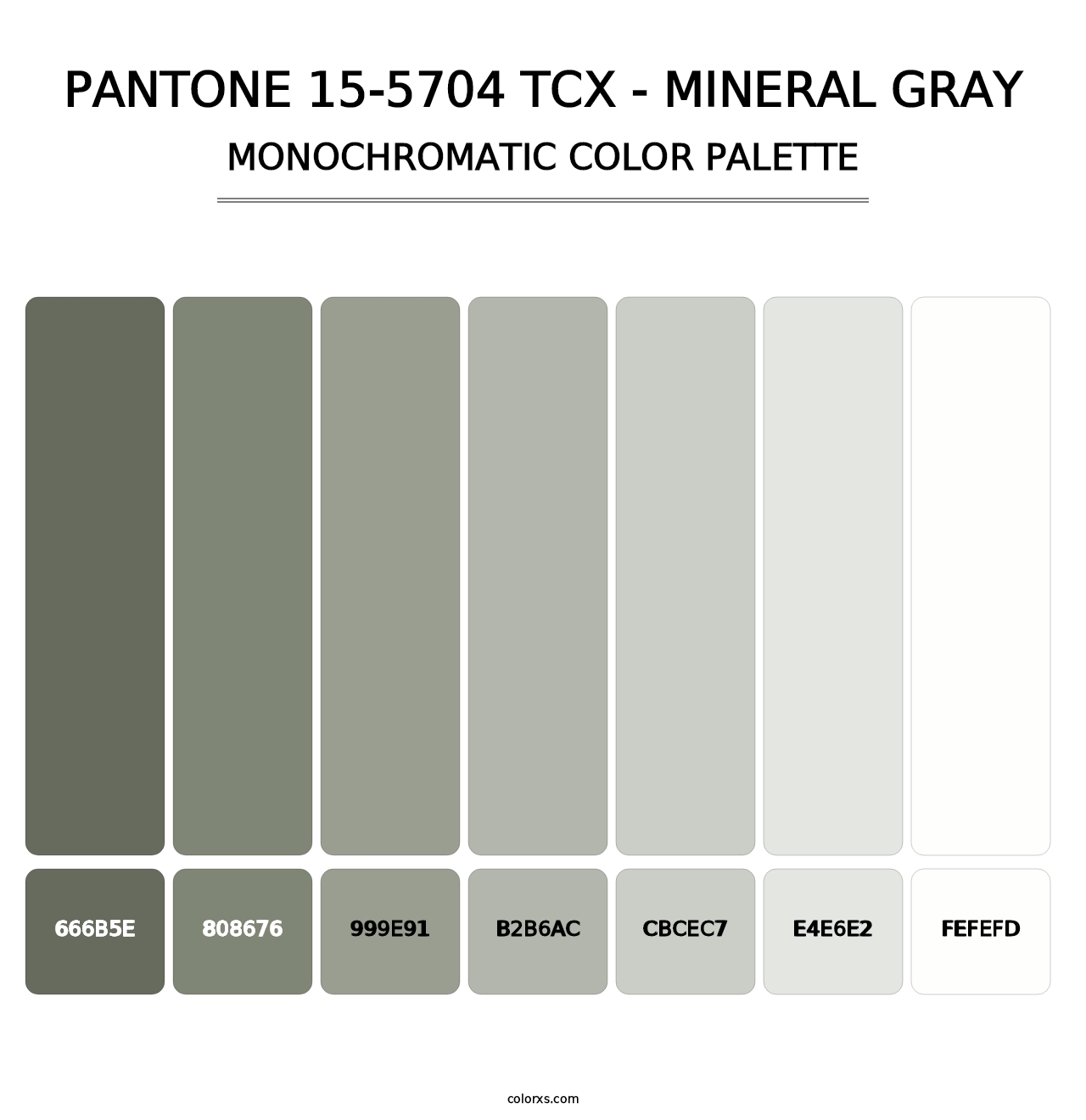 PANTONE 15-5704 TCX - Mineral Gray - Monochromatic Color Palette