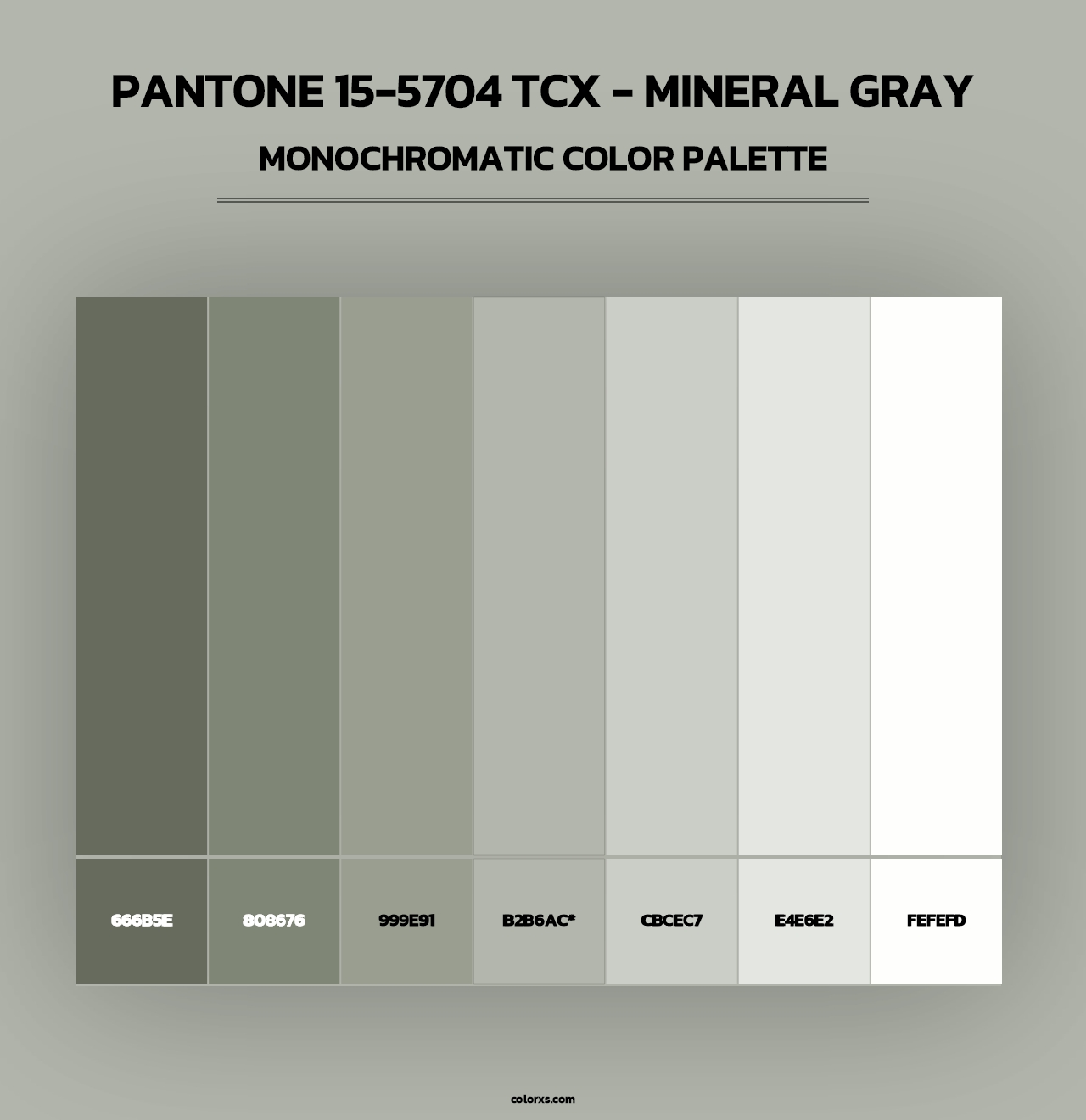 PANTONE 15-5704 TCX - Mineral Gray - Monochromatic Color Palette