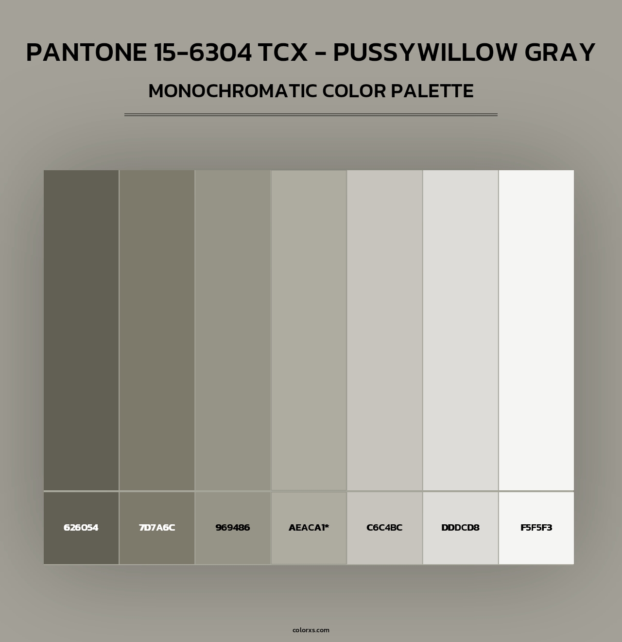 PANTONE 15-6304 TCX - Pussywillow Gray - Monochromatic Color Palette