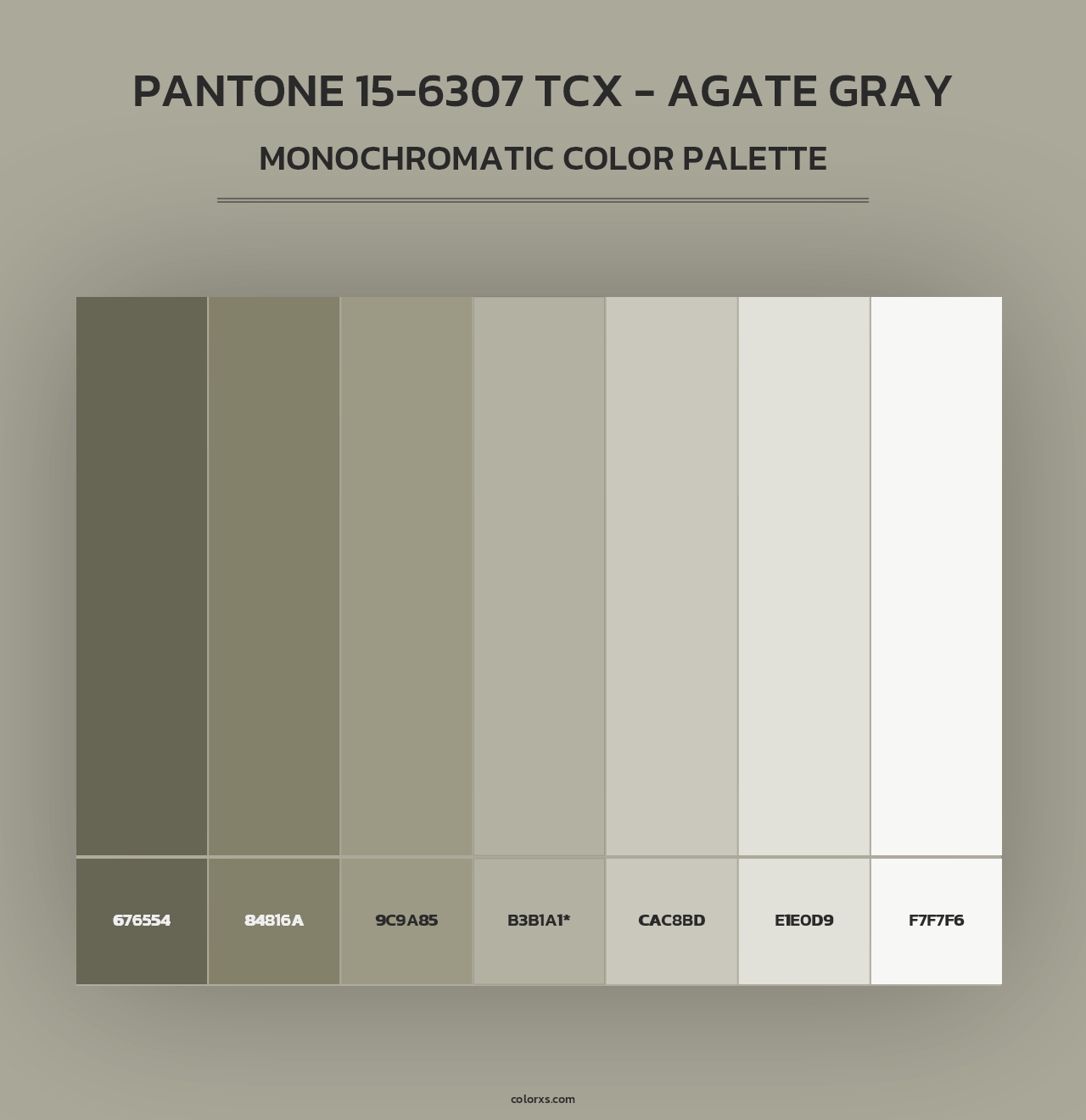 PANTONE 15-6307 TCX - Agate Gray - Monochromatic Color Palette
