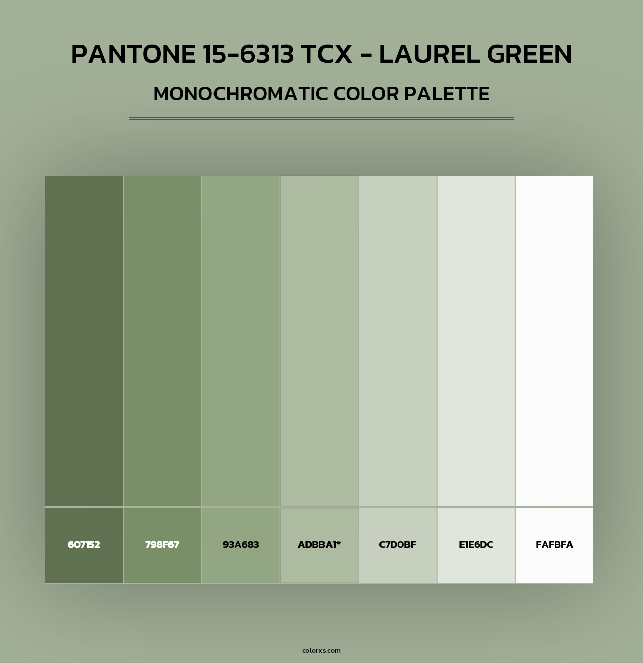PANTONE 15-6313 TCX - Laurel Green - Monochromatic Color Palette