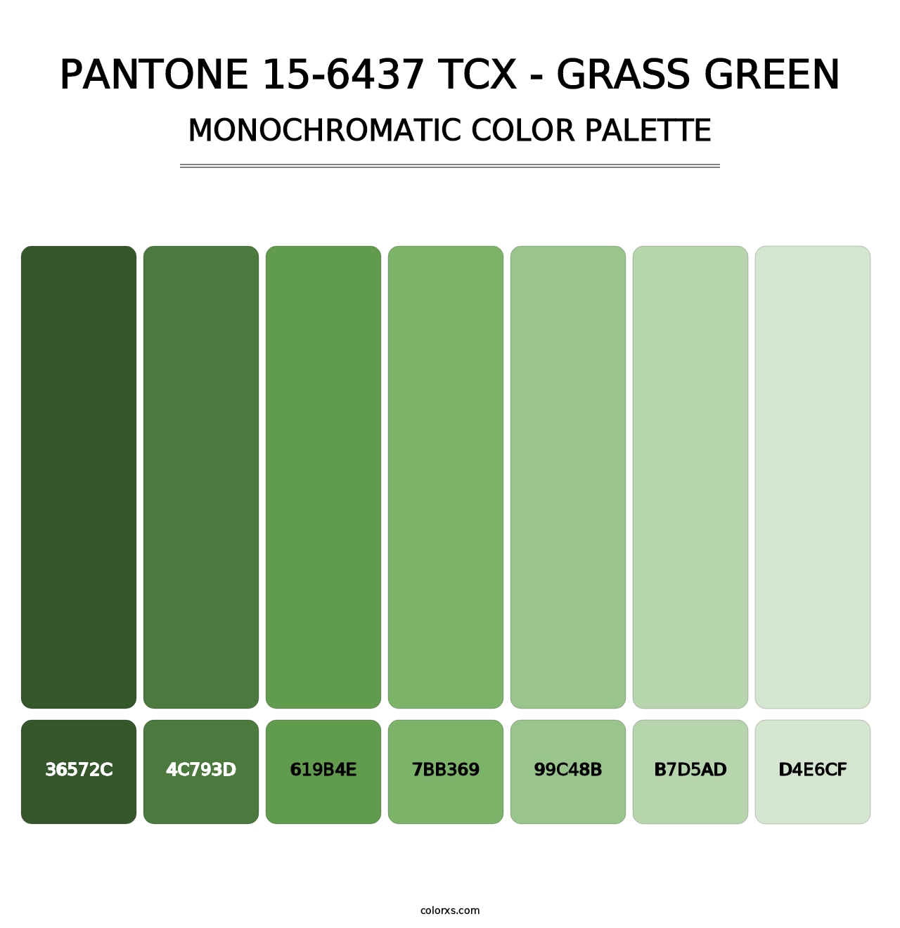 PANTONE 15-6437 TCX - Grass Green - Monochromatic Color Palette