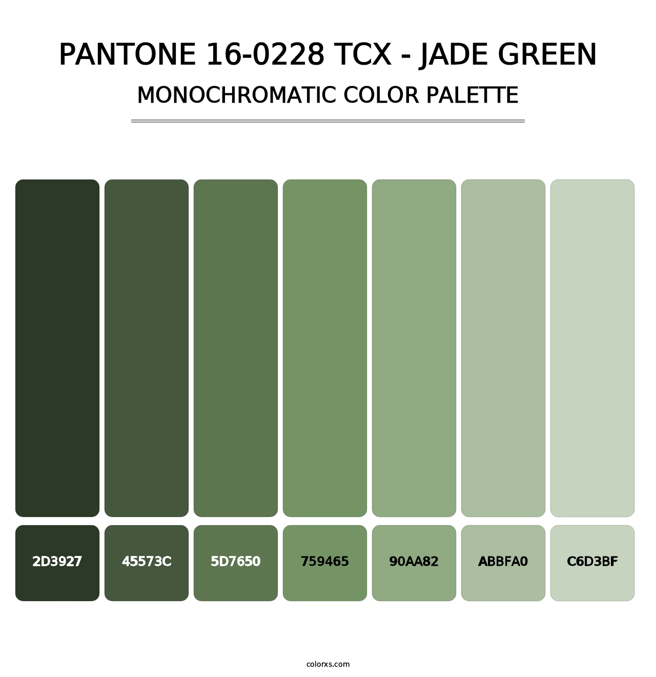 PANTONE 16-0228 TCX - Jade Green - Monochromatic Color Palette