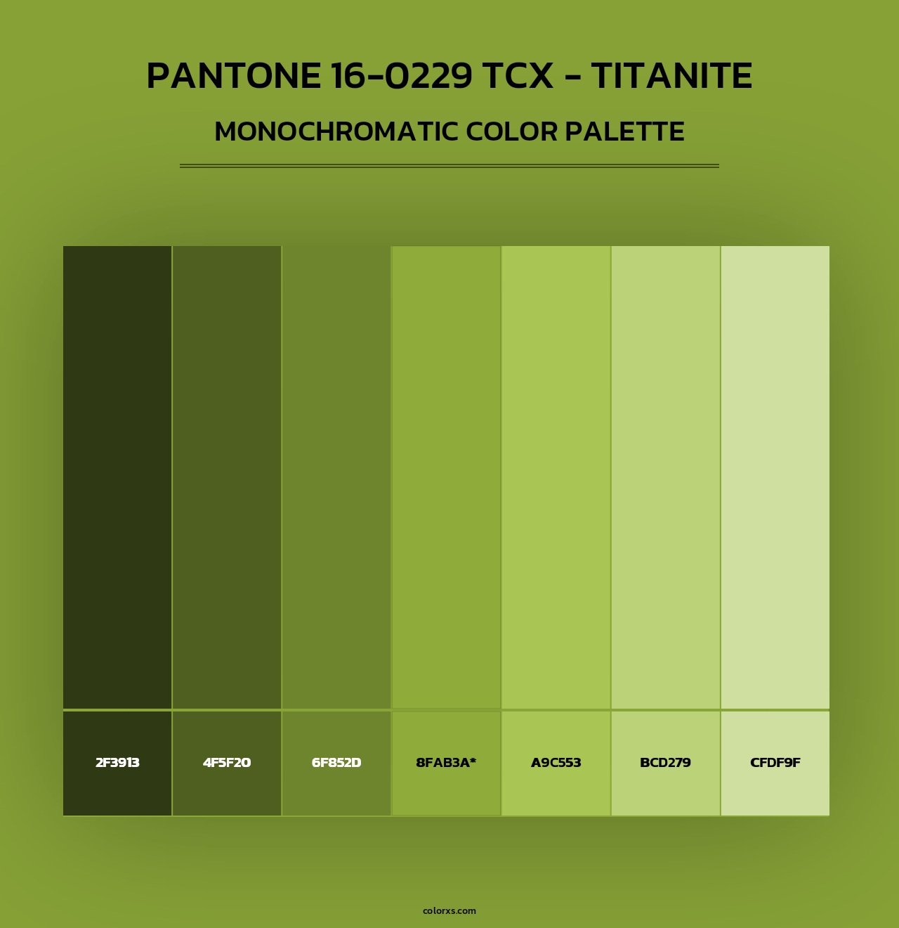 PANTONE 16-0229 TCX - Titanite - Monochromatic Color Palette