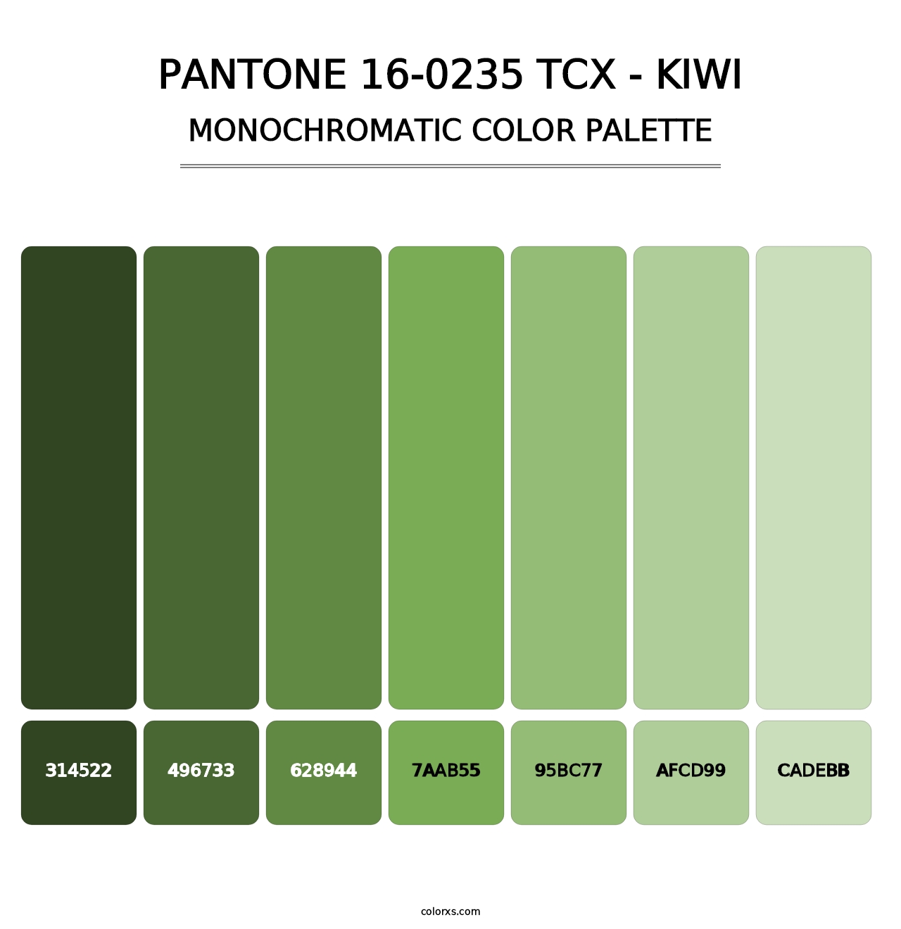 PANTONE 16-0235 TCX - Kiwi - Monochromatic Color Palette