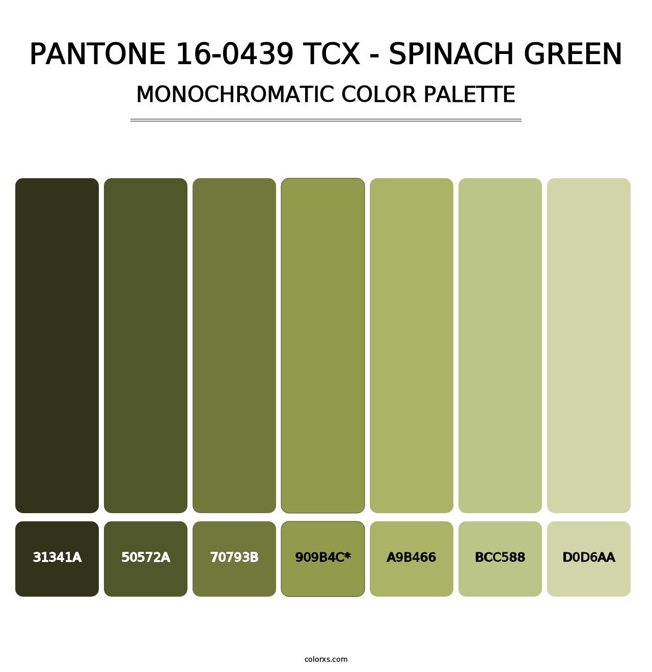 PANTONE 16-0439 TCX - Spinach Green - Monochromatic Color Palette