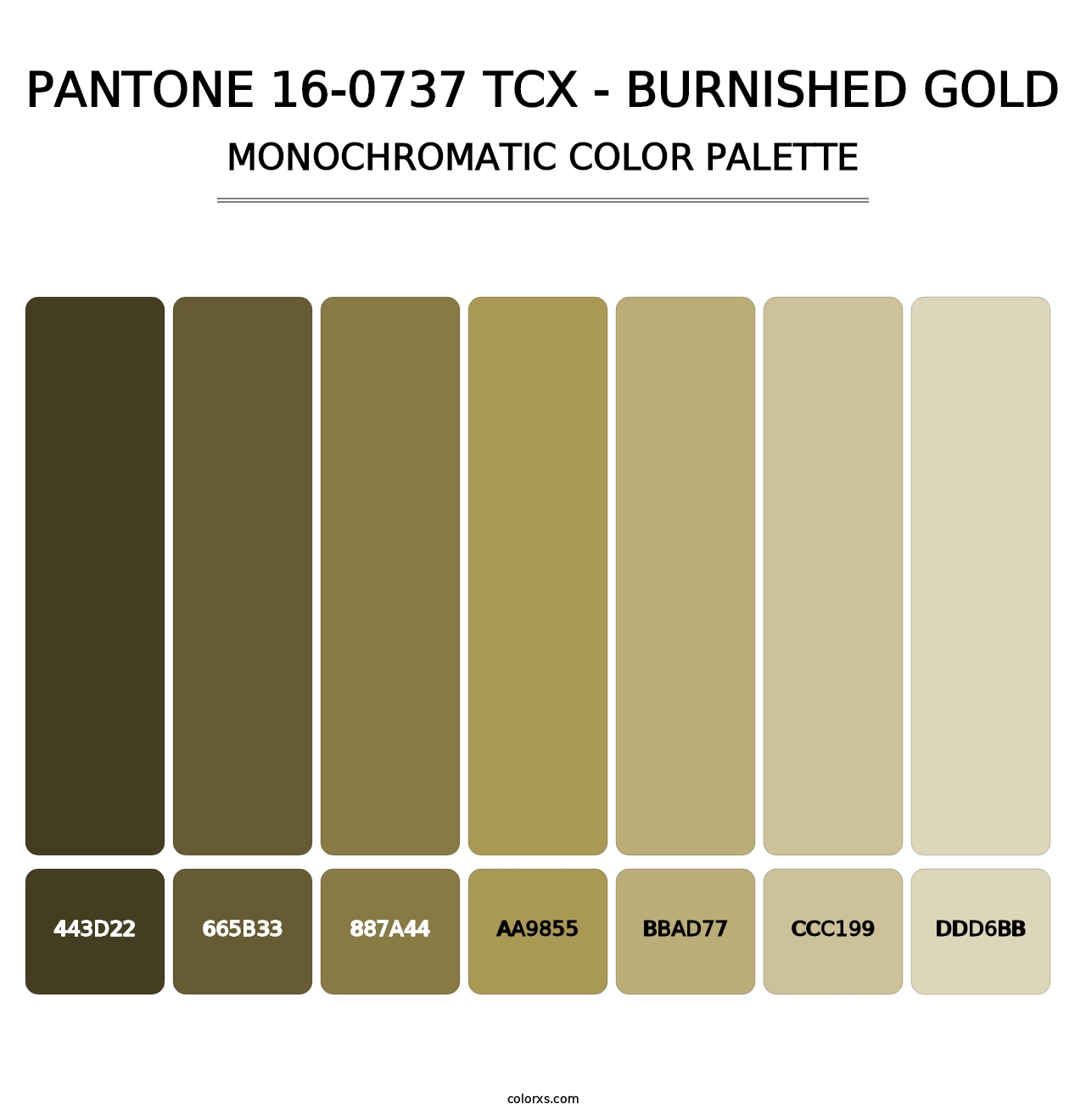 PANTONE 16-0737 TCX - Burnished Gold - Monochromatic Color Palette