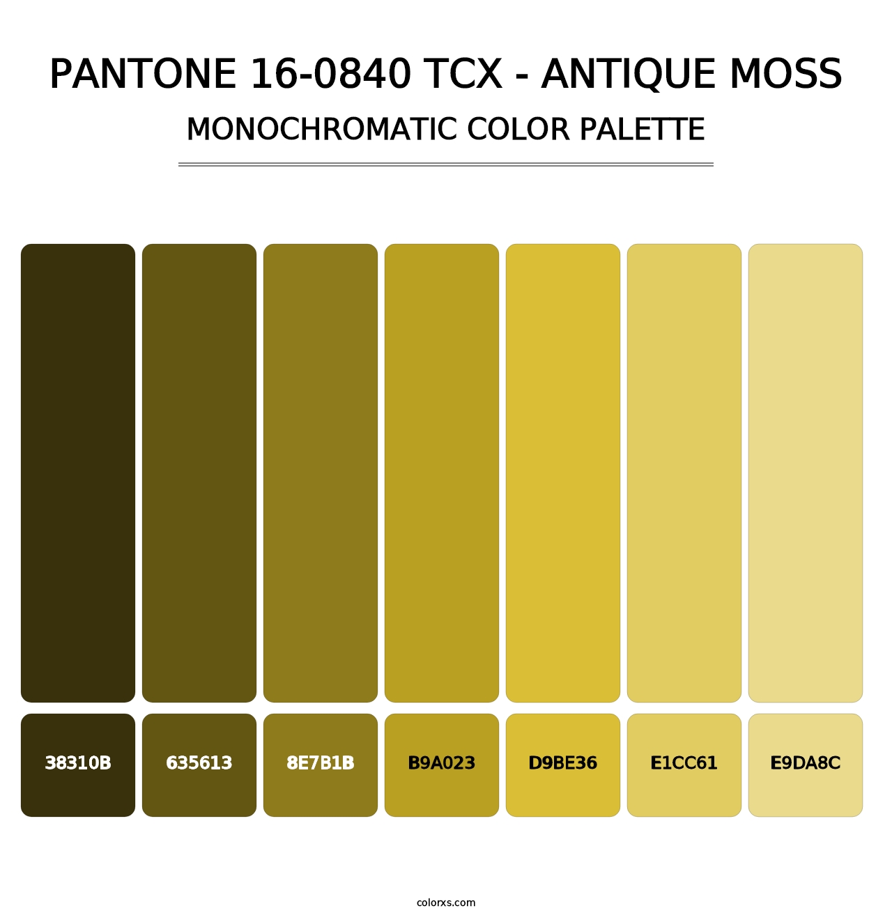 PANTONE 16-0840 TCX - Antique Moss - Monochromatic Color Palette