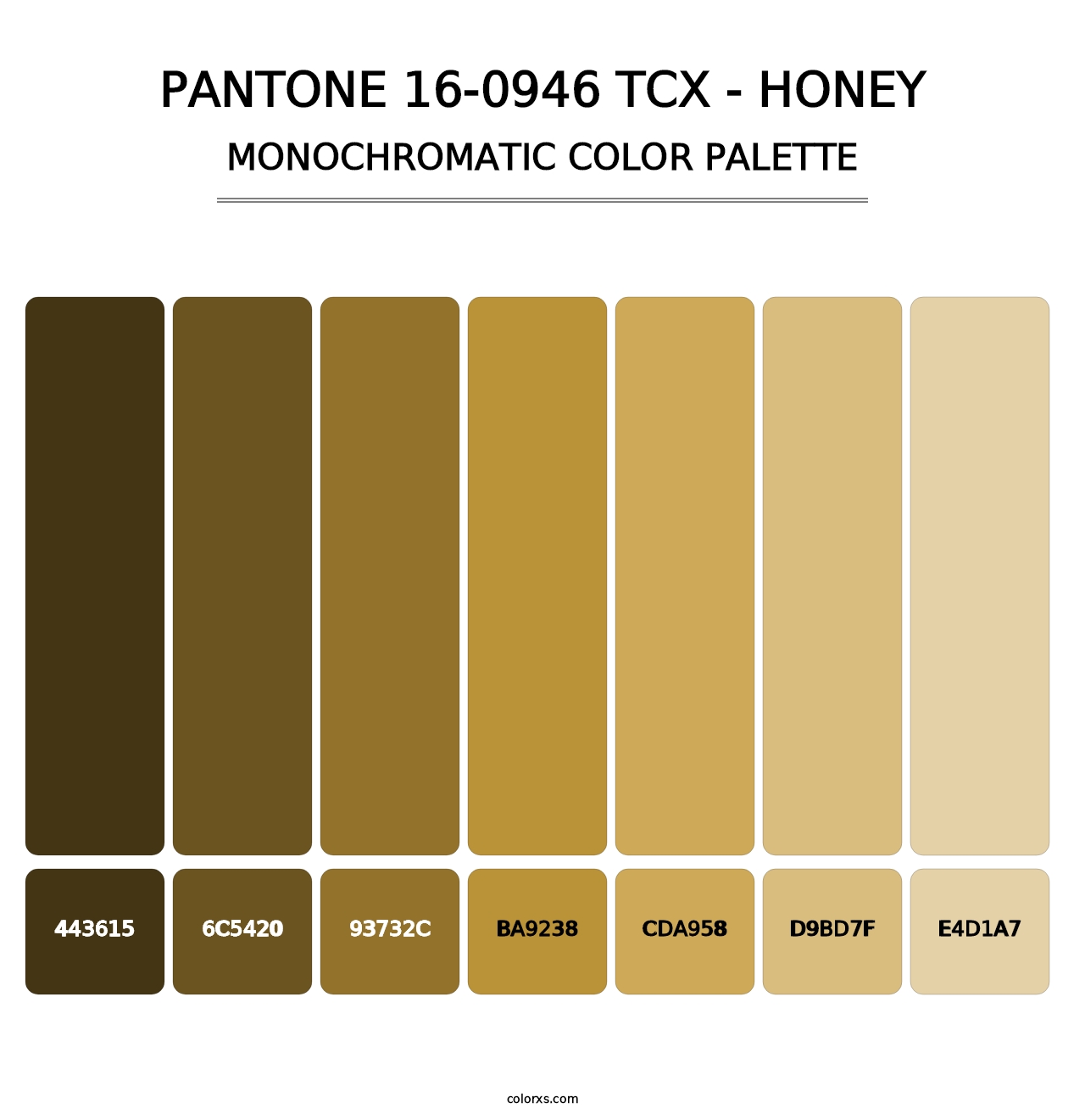 PANTONE 16-0946 TCX - Honey - Monochromatic Color Palette