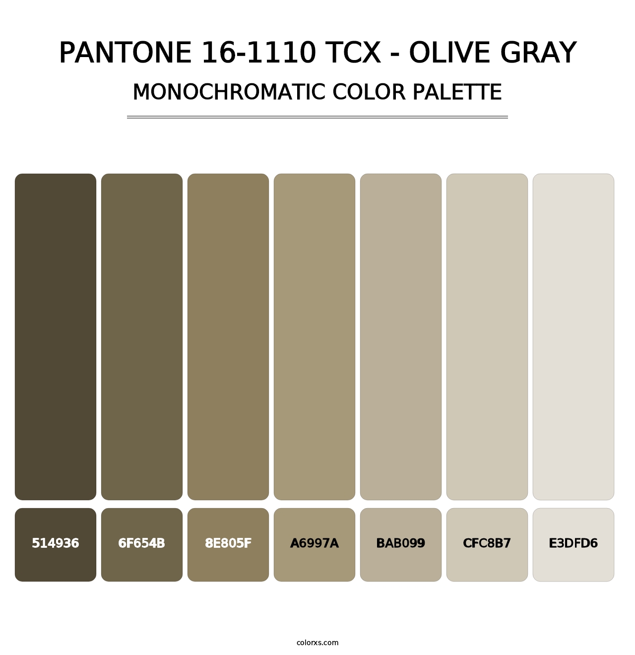 PANTONE 16-1110 TCX - Olive Gray - Monochromatic Color Palette