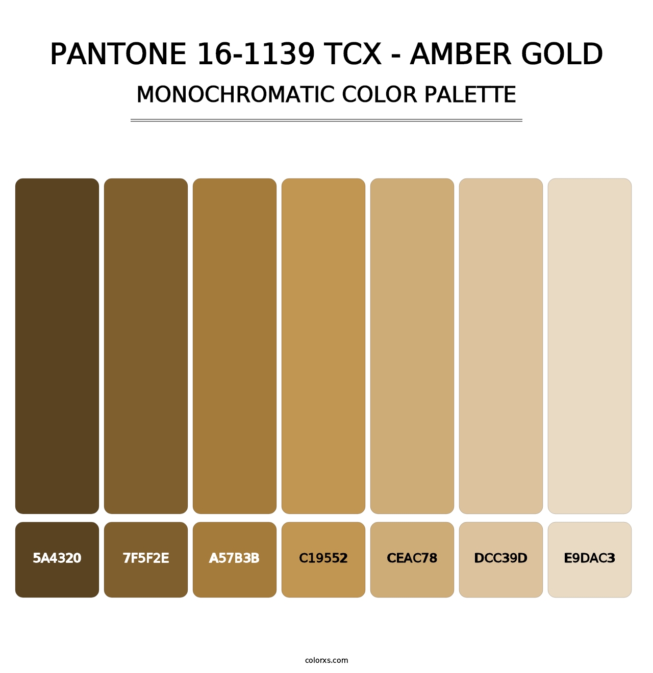 PANTONE 16-1139 TCX - Amber Gold - Monochromatic Color Palette
