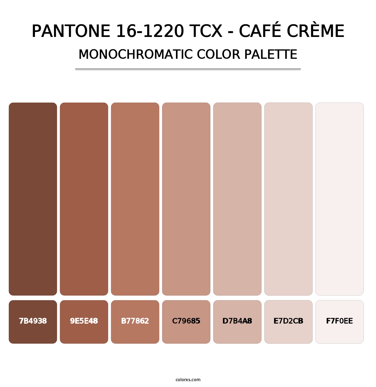 PANTONE 16-1220 TCX - Café Crème - Monochromatic Color Palette