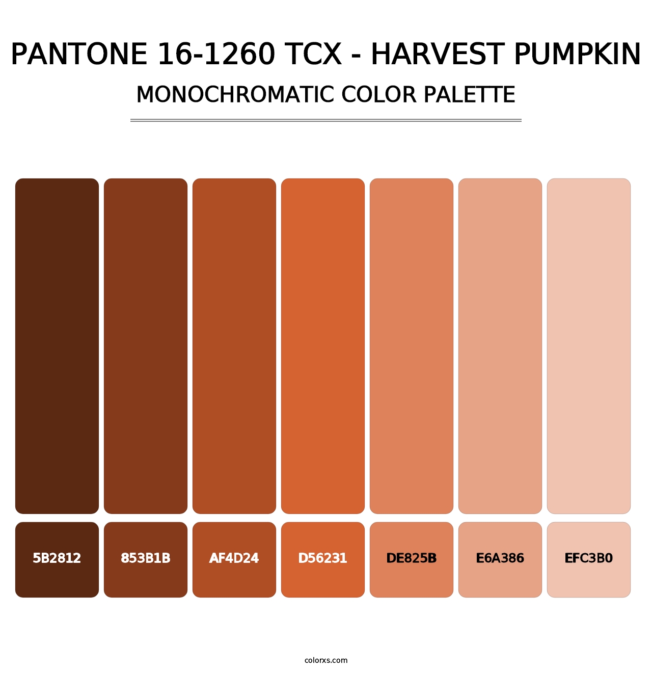 PANTONE 16-1260 TCX - Harvest Pumpkin - Monochromatic Color Palette