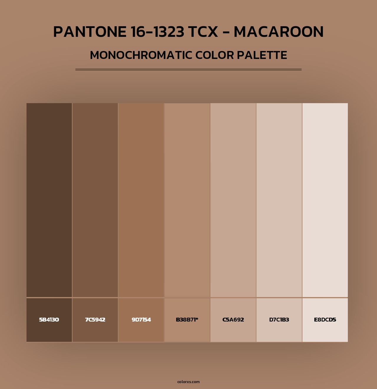 PANTONE 16-1323 TCX - Macaroon - Monochromatic Color Palette