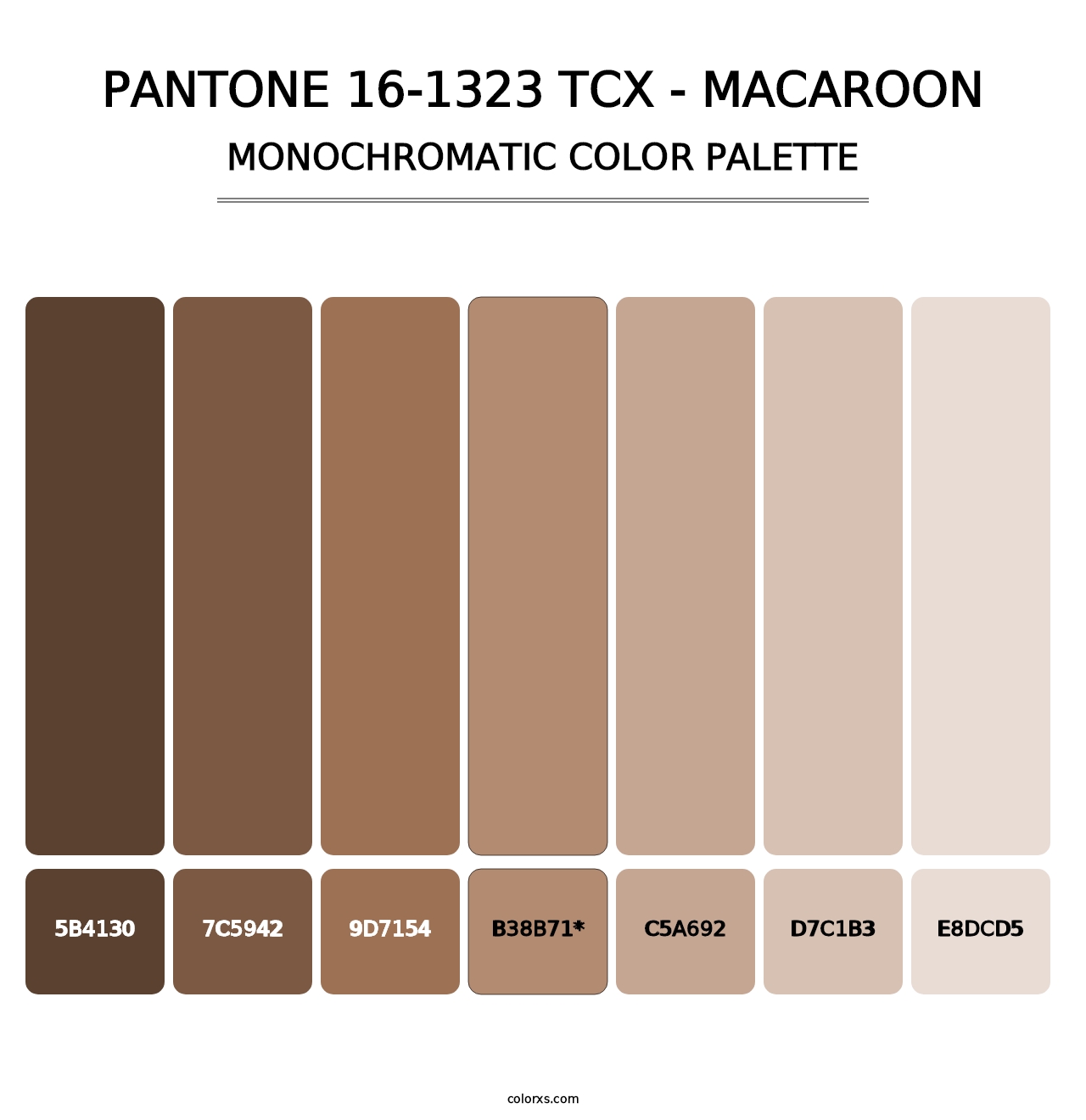 PANTONE 16-1323 TCX - Macaroon - Monochromatic Color Palette