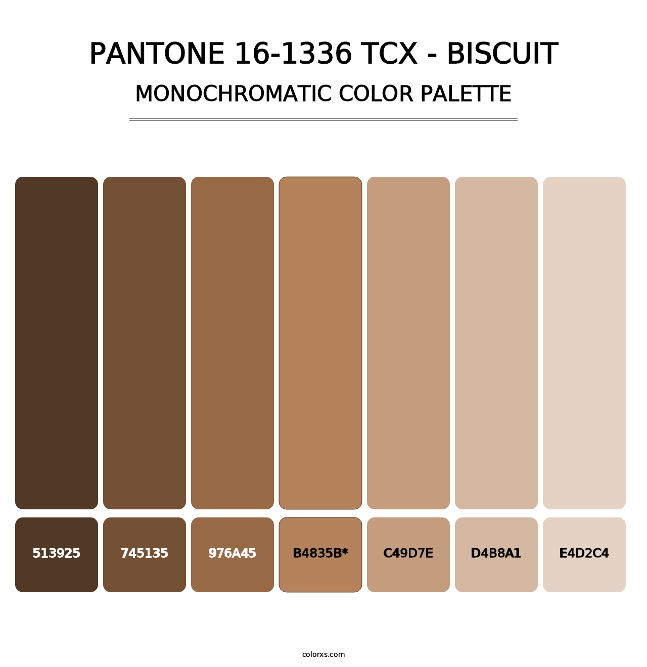PANTONE 16-1336 TCX - Biscuit - Monochromatic Color Palette