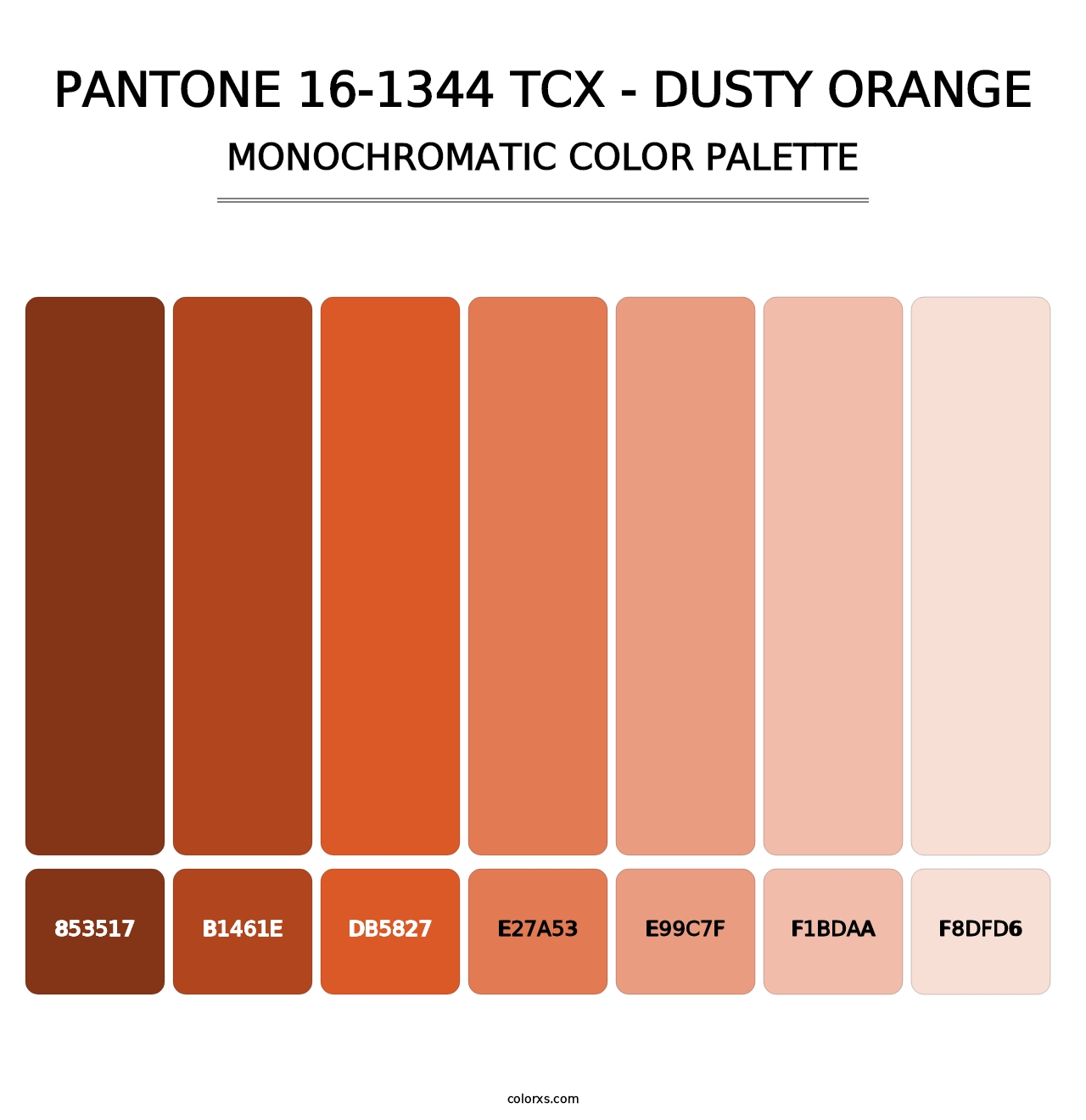 PANTONE 16-1344 TCX - Dusty Orange - Monochromatic Color Palette