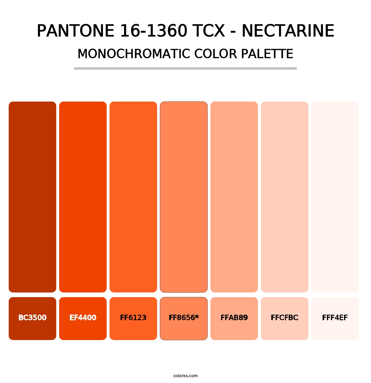 PANTONE 16-1360 TCX - Nectarine - Monochromatic Color Palette