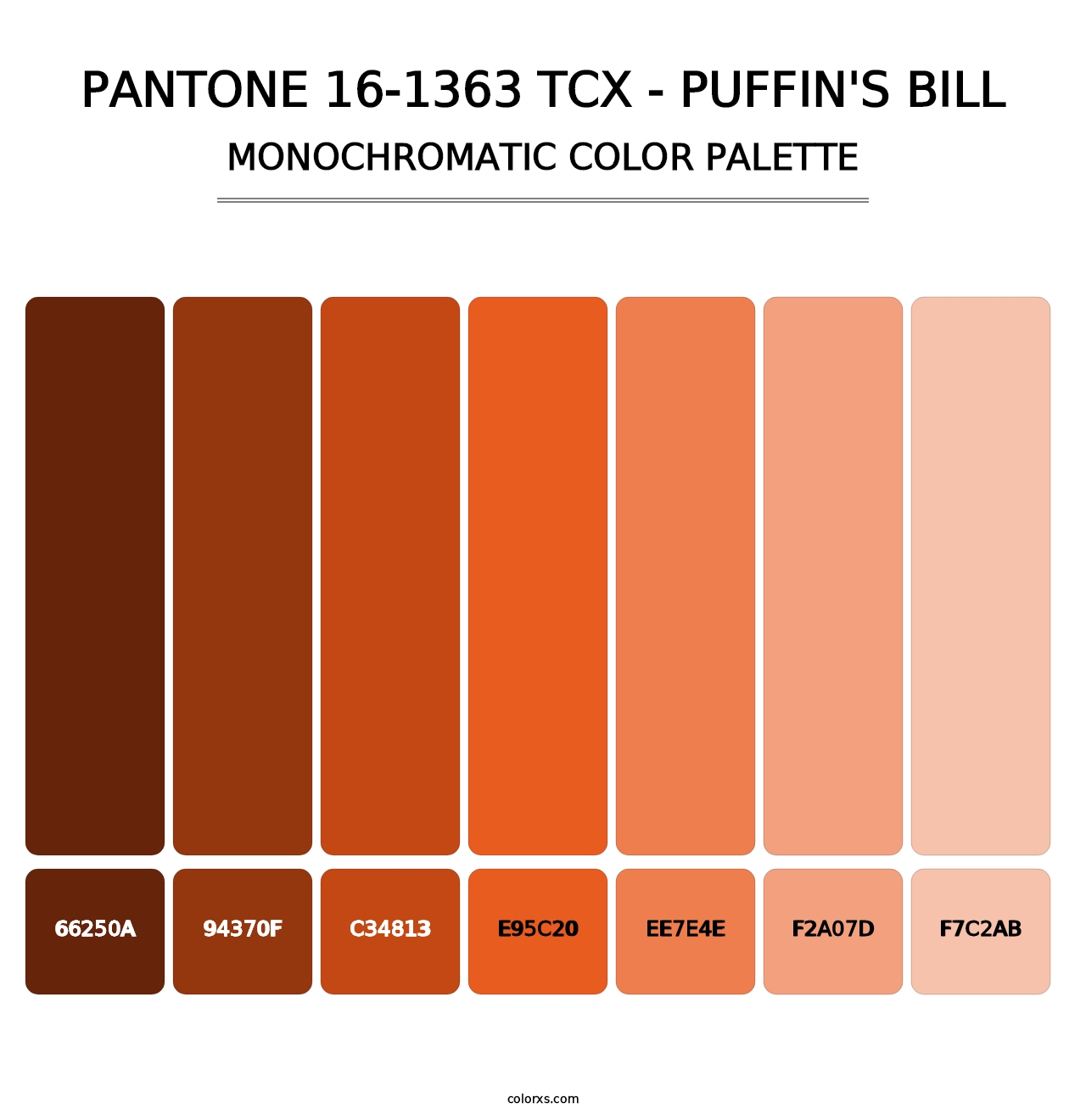 PANTONE 16-1363 TCX - Puffin's Bill - Monochromatic Color Palette