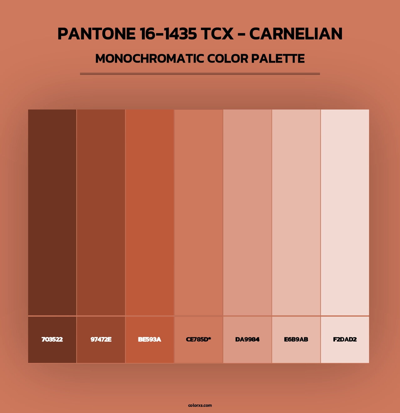 PANTONE 16-1435 TCX - Carnelian - Monochromatic Color Palette
