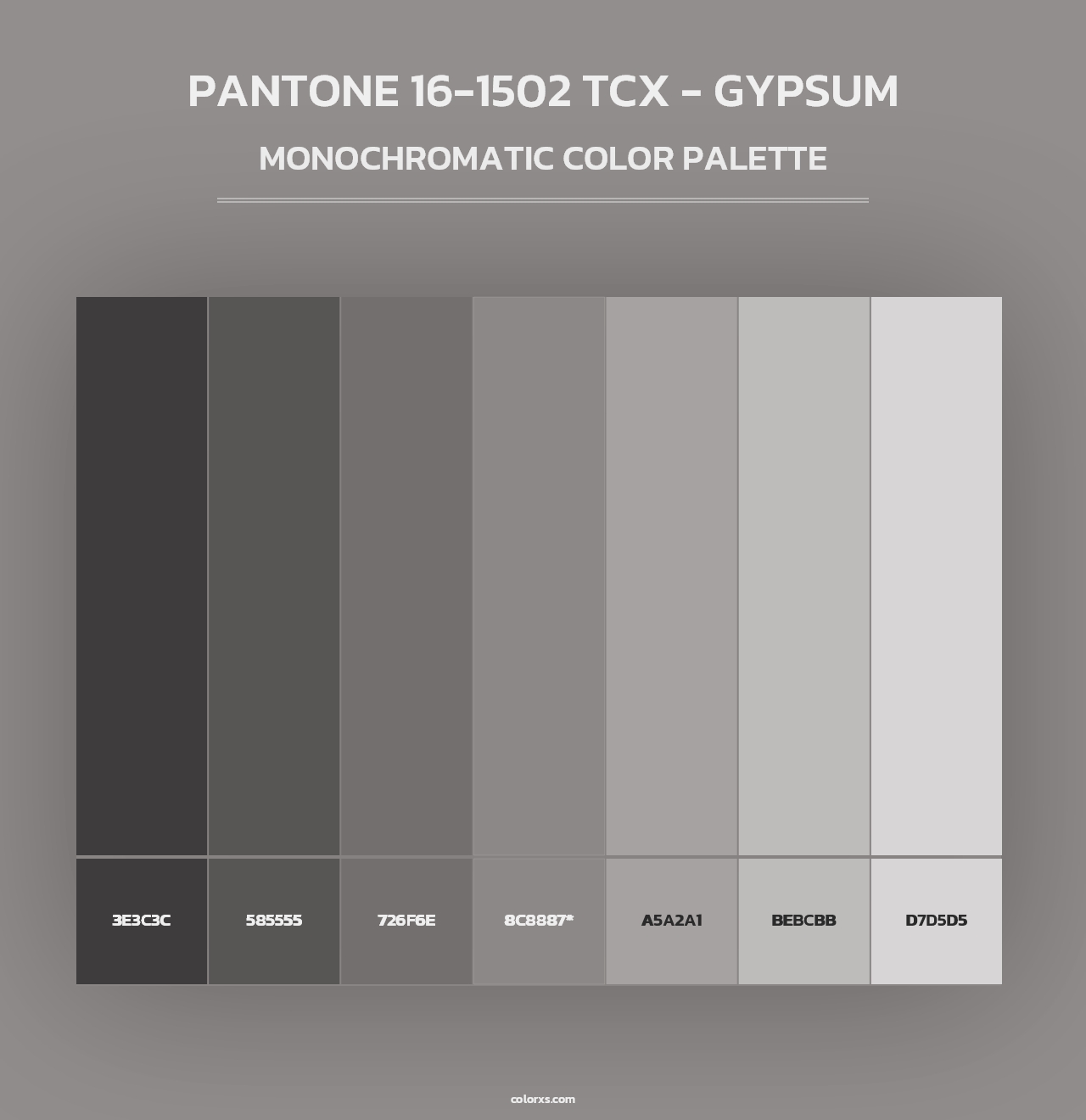 PANTONE 16-1502 TCX - Gypsum - Monochromatic Color Palette