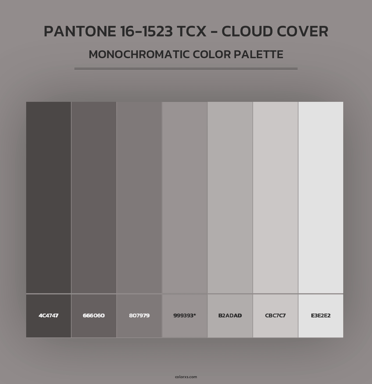 PANTONE 16-1523 TCX - Cloud Cover - Monochromatic Color Palette