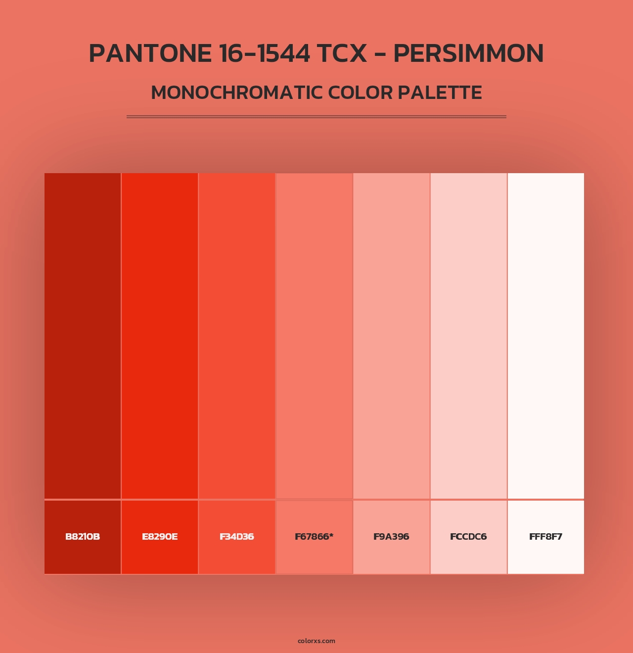 PANTONE 16-1544 TCX - Persimmon - Monochromatic Color Palette