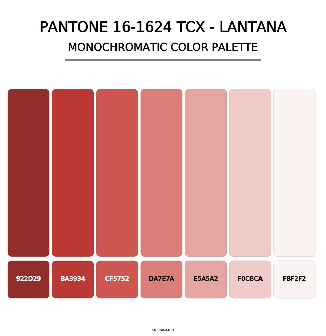 PANTONE 16-1624 TCX - Lantana - Monochromatic Color Palette