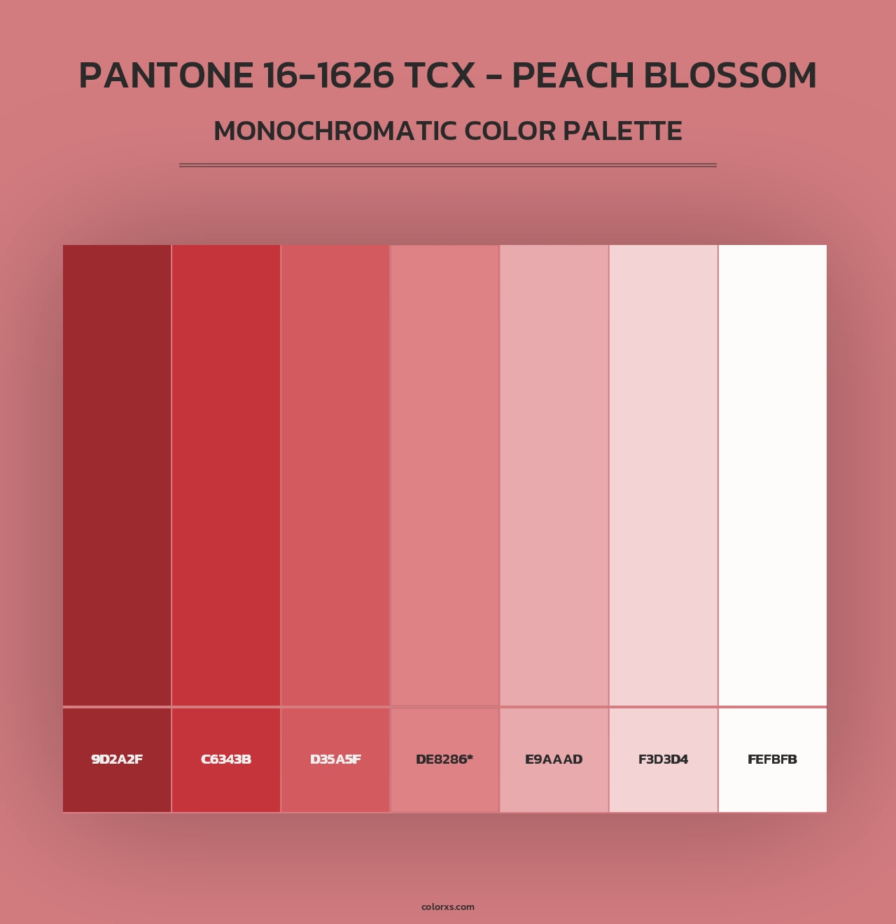 PANTONE 16-1626 TCX - Peach Blossom - Monochromatic Color Palette