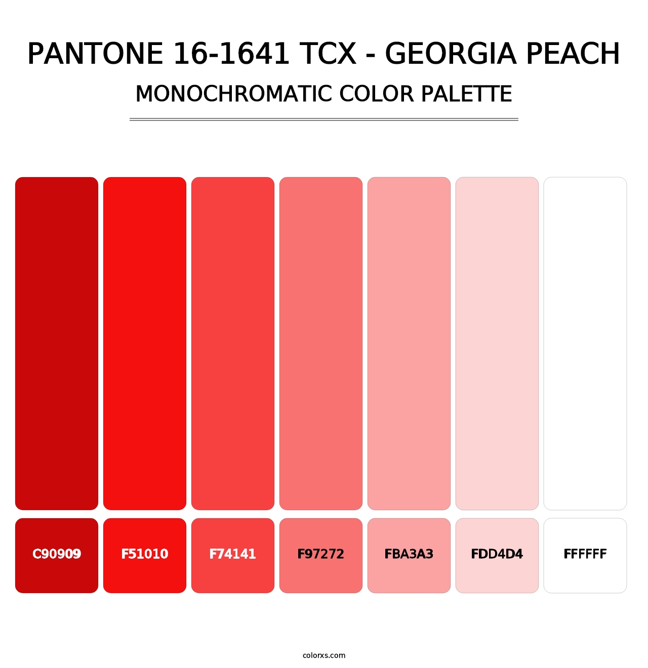 PANTONE 16-1641 TCX - Georgia Peach - Monochromatic Color Palette