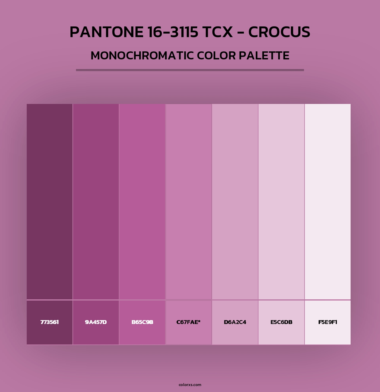 PANTONE 16-3115 TCX - Crocus - Monochromatic Color Palette
