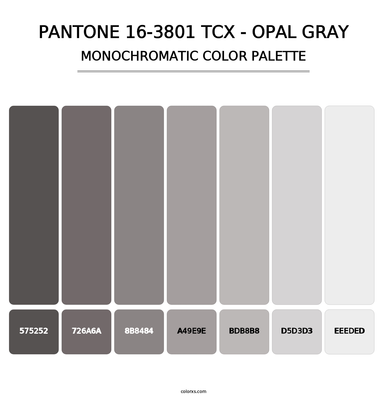 PANTONE 16-3801 TCX - Opal Gray - Monochromatic Color Palette