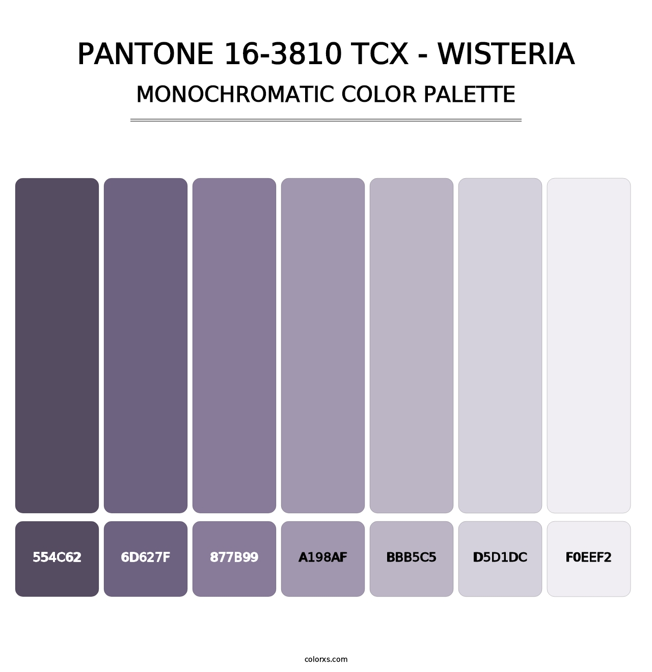 PANTONE 16-3810 TCX - Wisteria - Monochromatic Color Palette