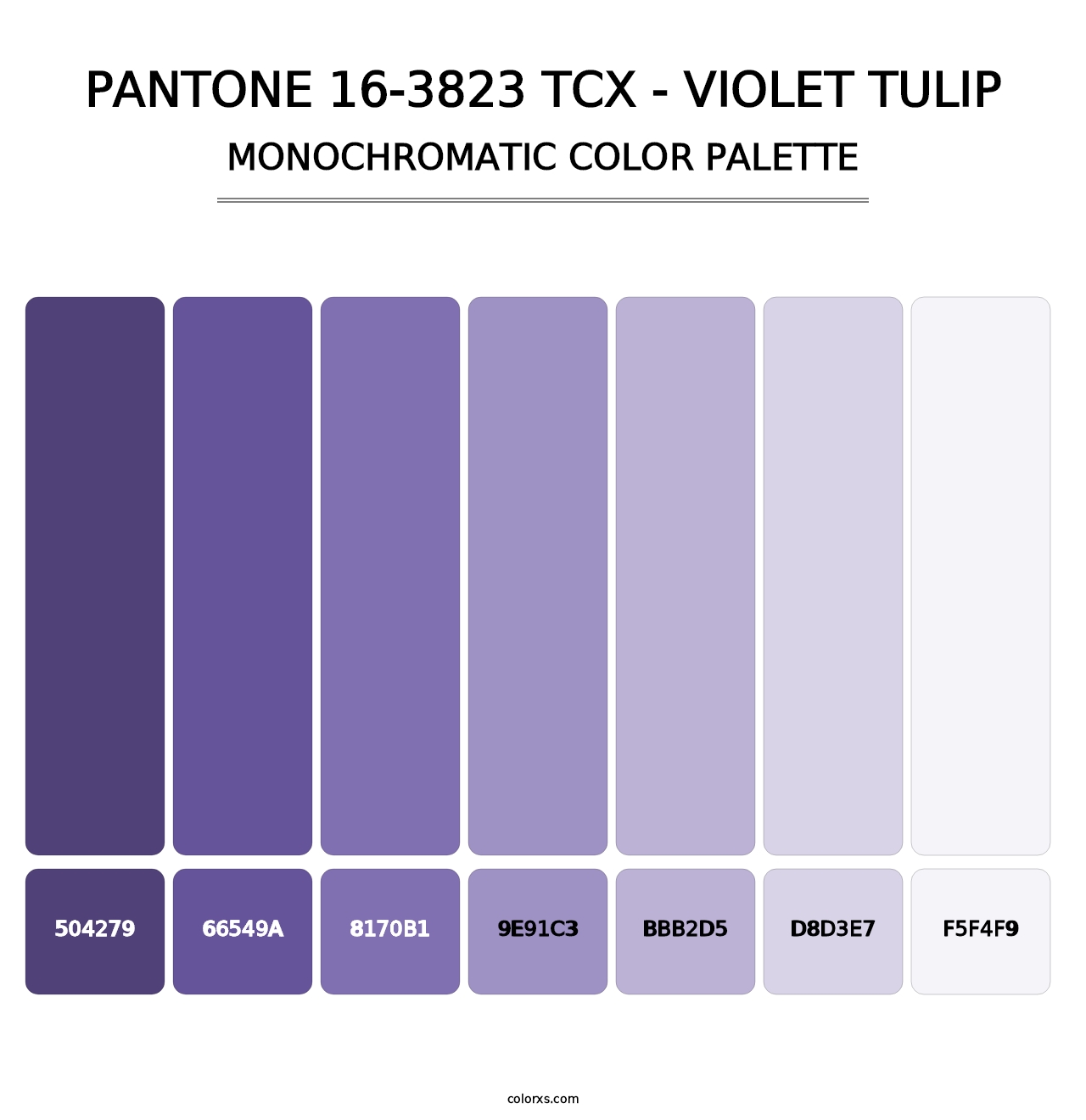 PANTONE 16-3823 TCX - Violet Tulip - Monochromatic Color Palette