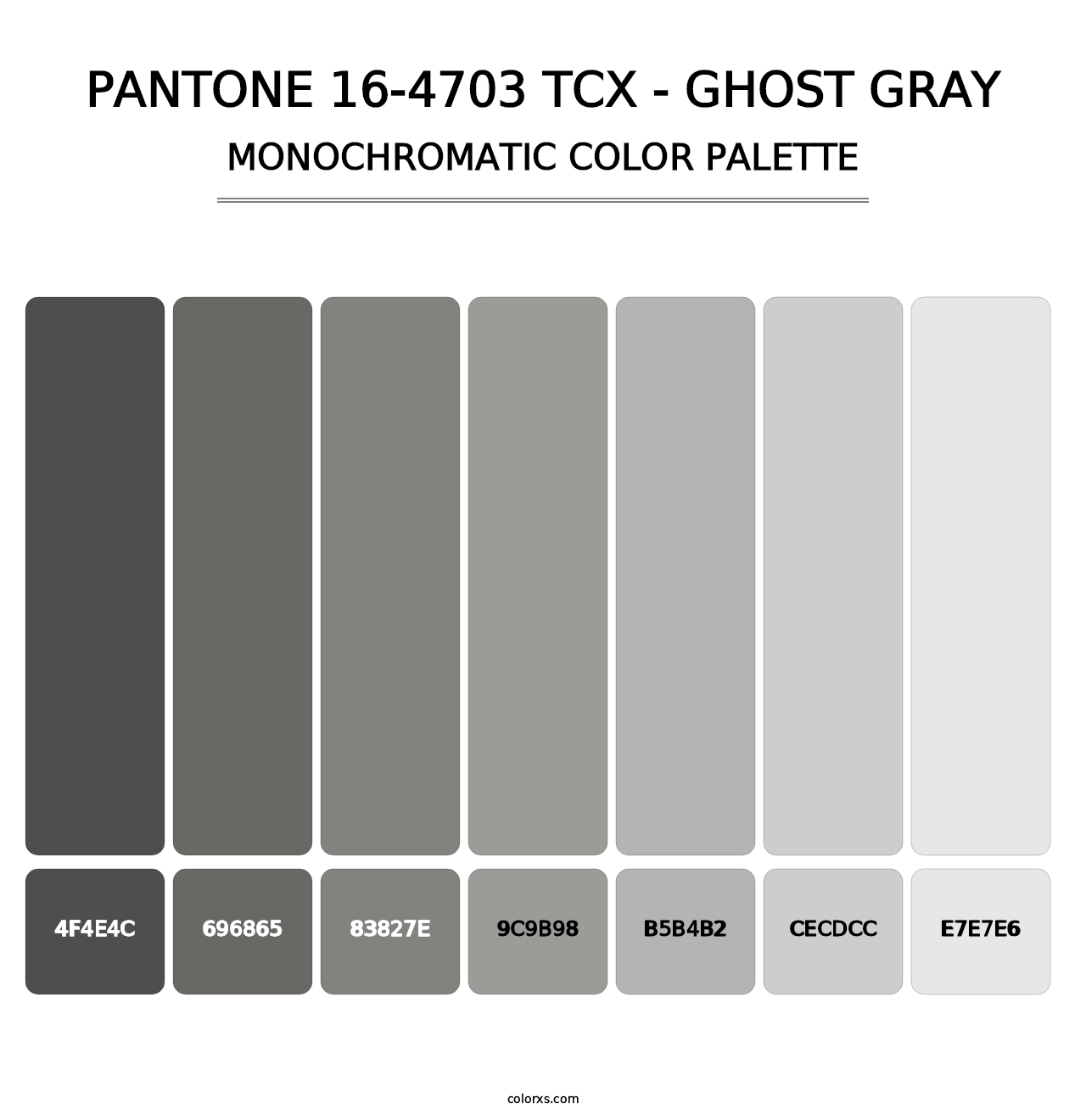 PANTONE 16-4703 TCX - Ghost Gray - Monochromatic Color Palette