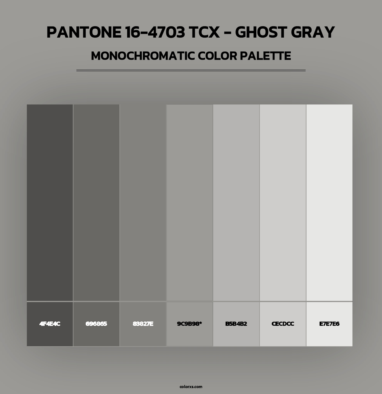 PANTONE 16-4703 TCX - Ghost Gray - Monochromatic Color Palette