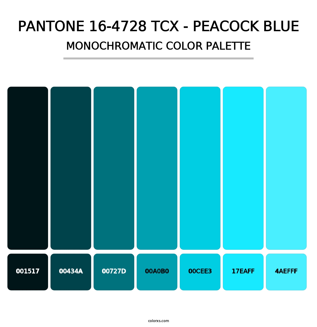 PANTONE 16-4728 TCX - Peacock Blue - Monochromatic Color Palette
