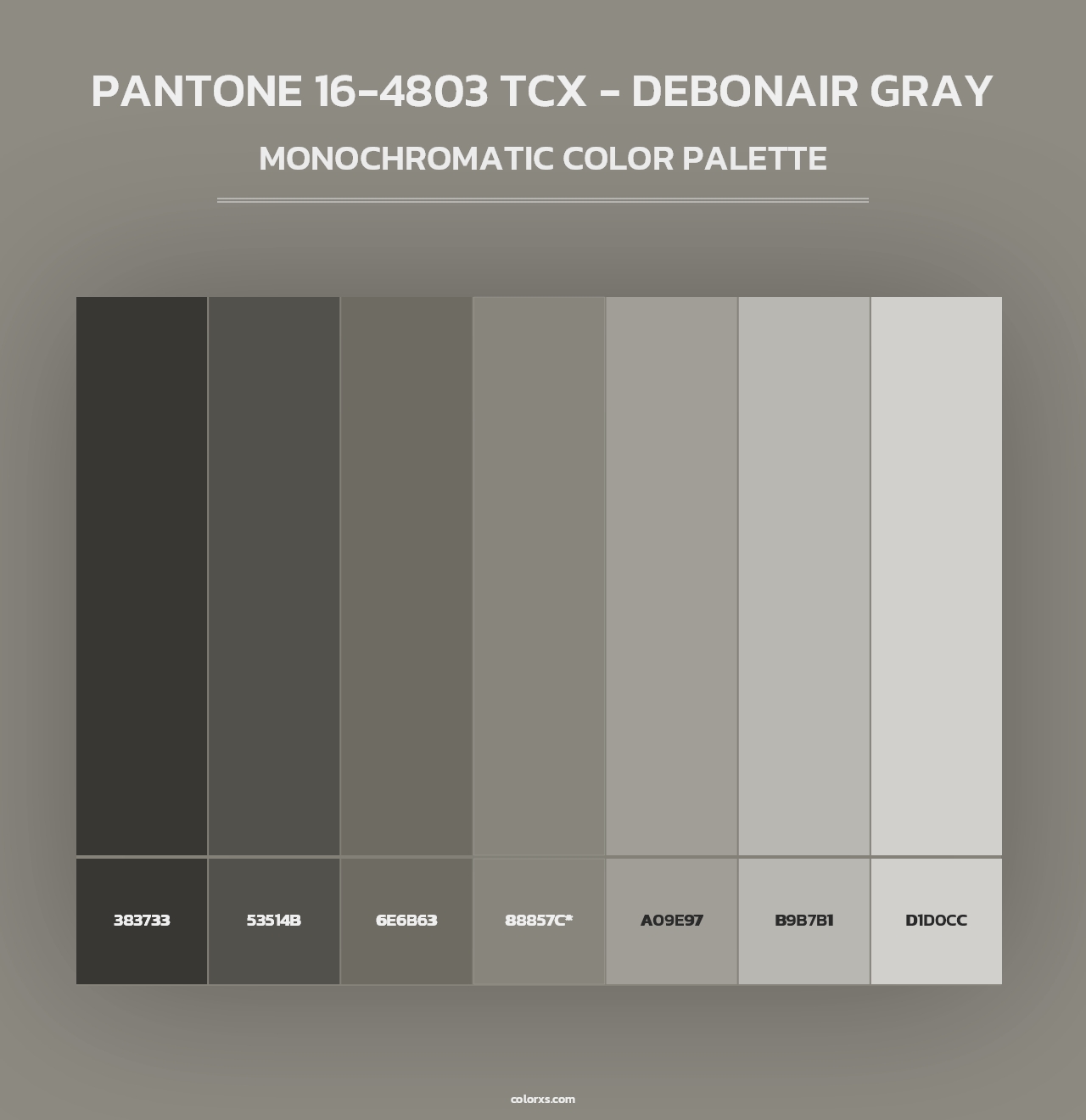 PANTONE 16-4803 TCX - Debonair Gray - Monochromatic Color Palette