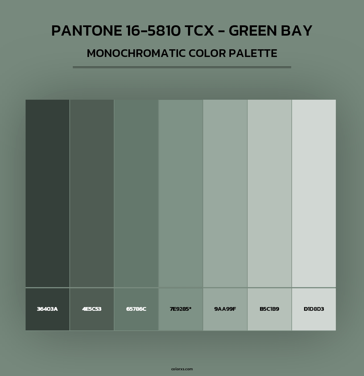 PANTONE 16-5810 TCX - Green Bay - Monochromatic Color Palette
