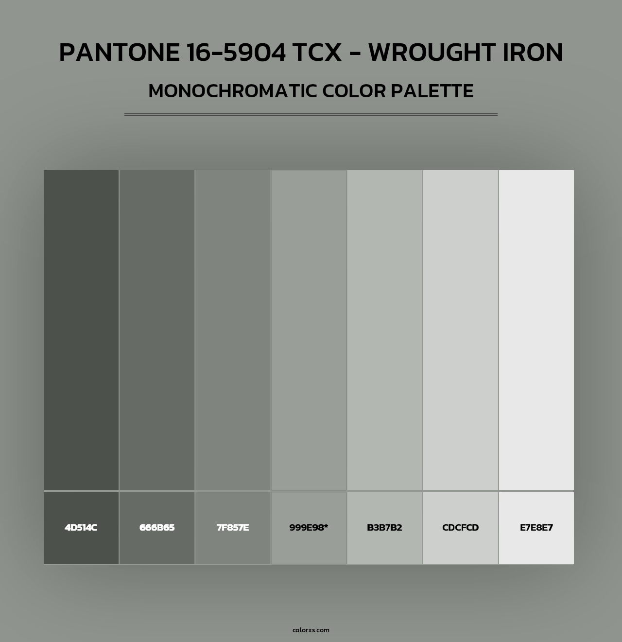 PANTONE 16-5904 TCX - Wrought Iron - Monochromatic Color Palette