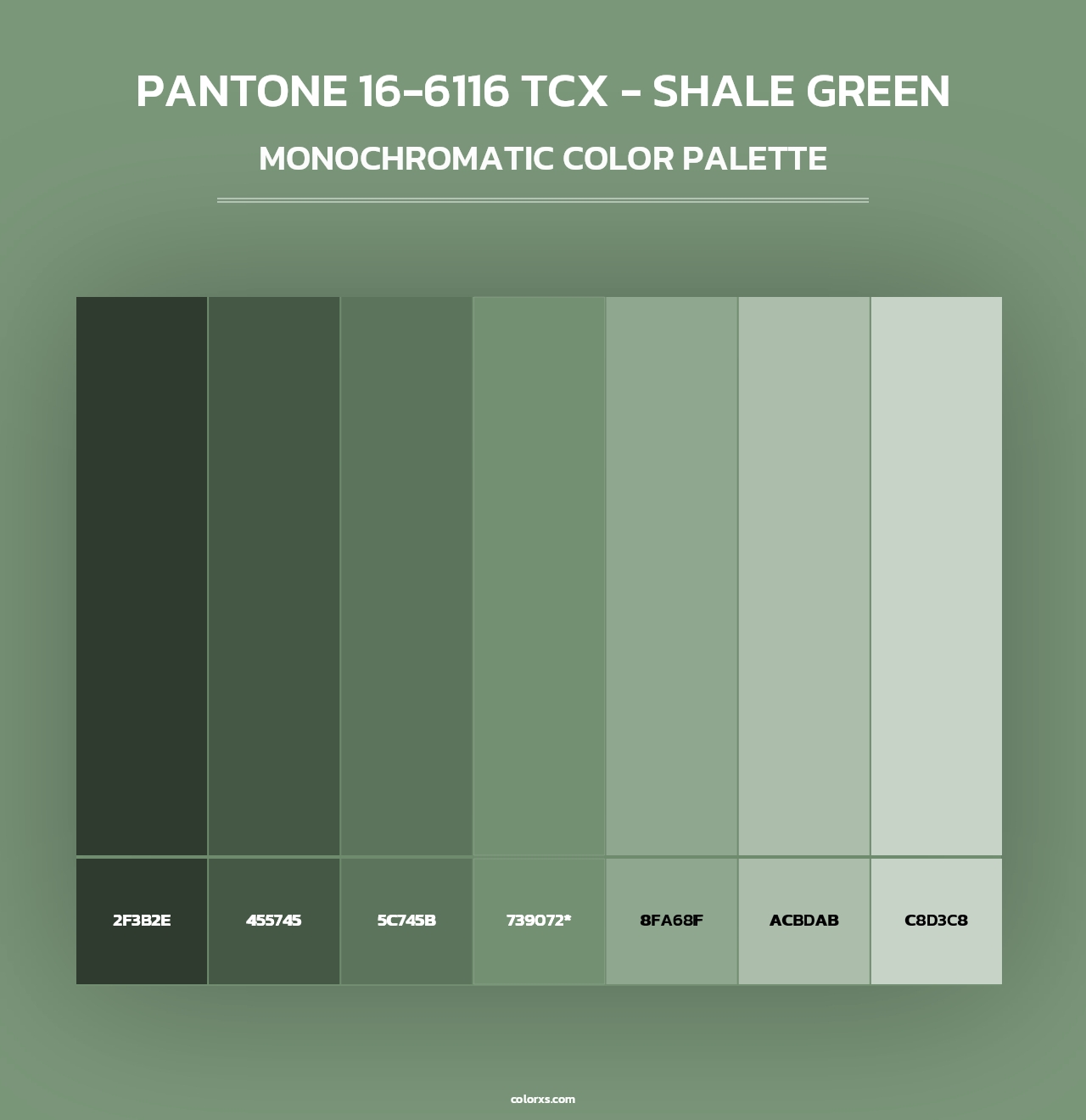 PANTONE 16-6116 TCX - Shale Green - Monochromatic Color Palette
