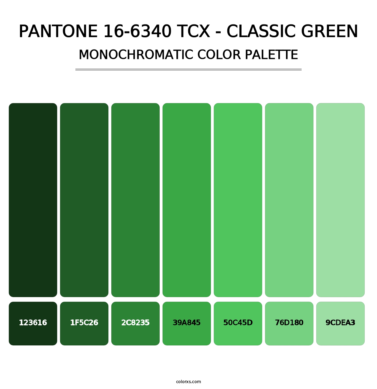 PANTONE 16-6340 TCX - Classic Green - Monochromatic Color Palette