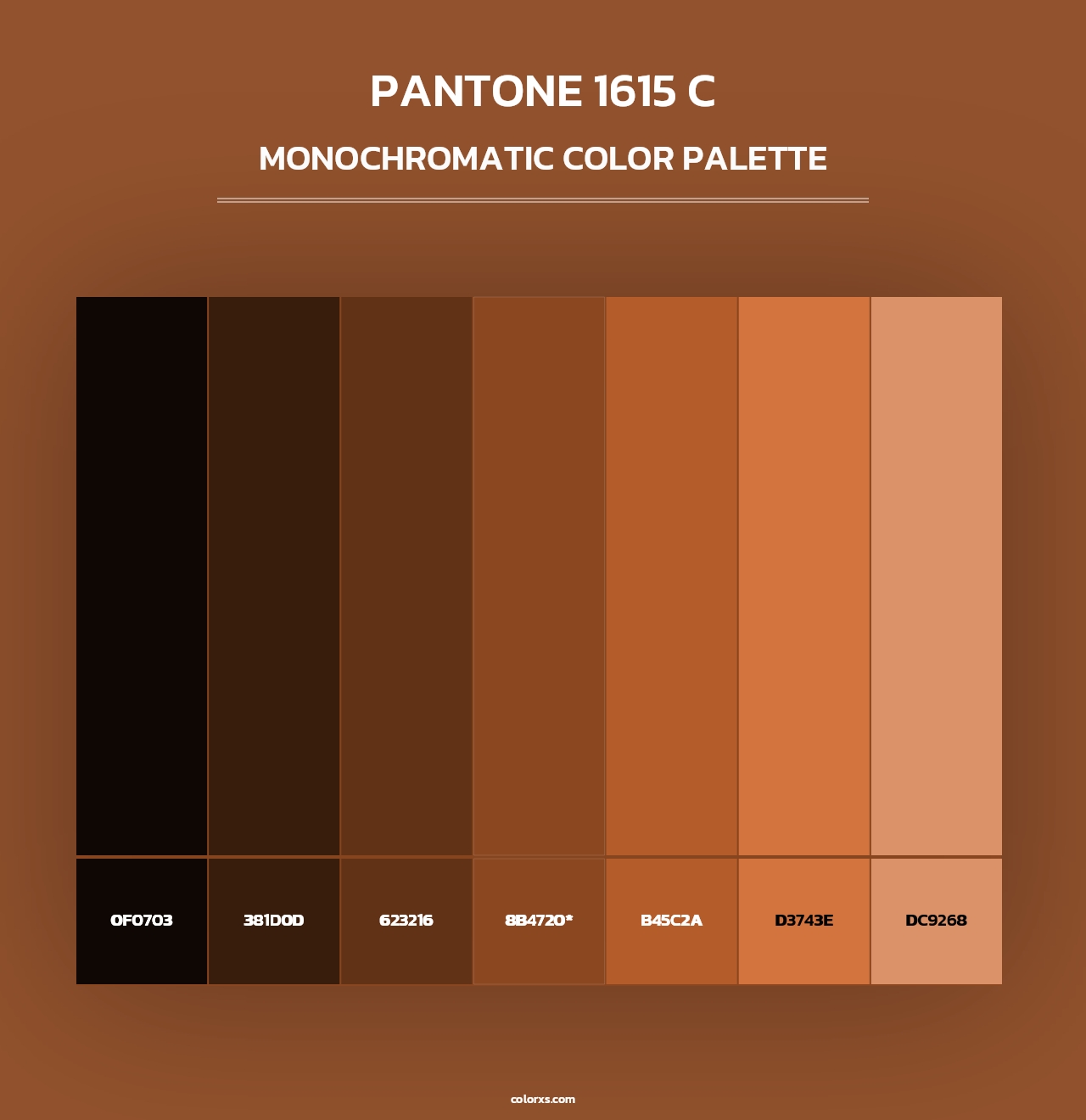 PANTONE 1615 C - Monochromatic Color Palette