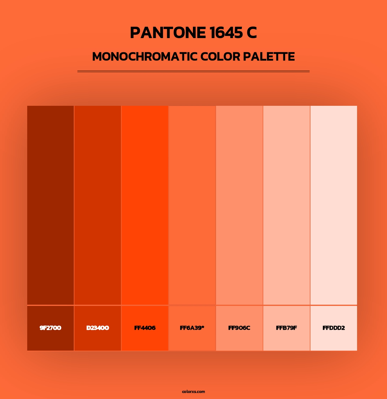 PANTONE 1645 C - Monochromatic Color Palette
