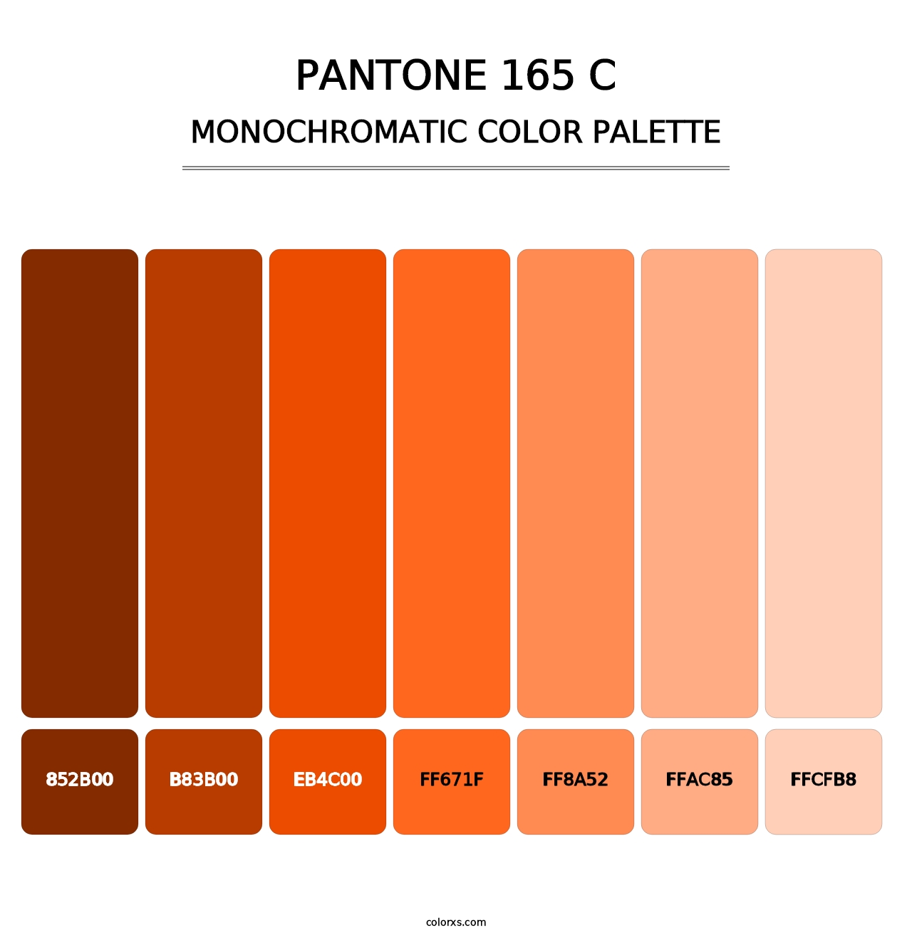 PANTONE 165 C - Monochromatic Color Palette