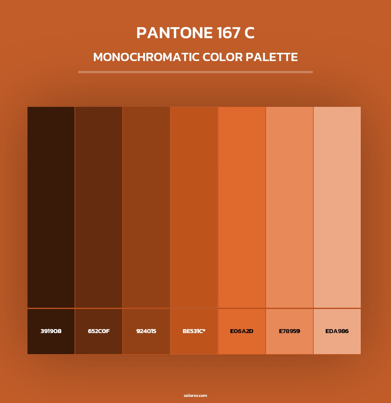 PANTONE 167 C - Monochromatic Color Palette